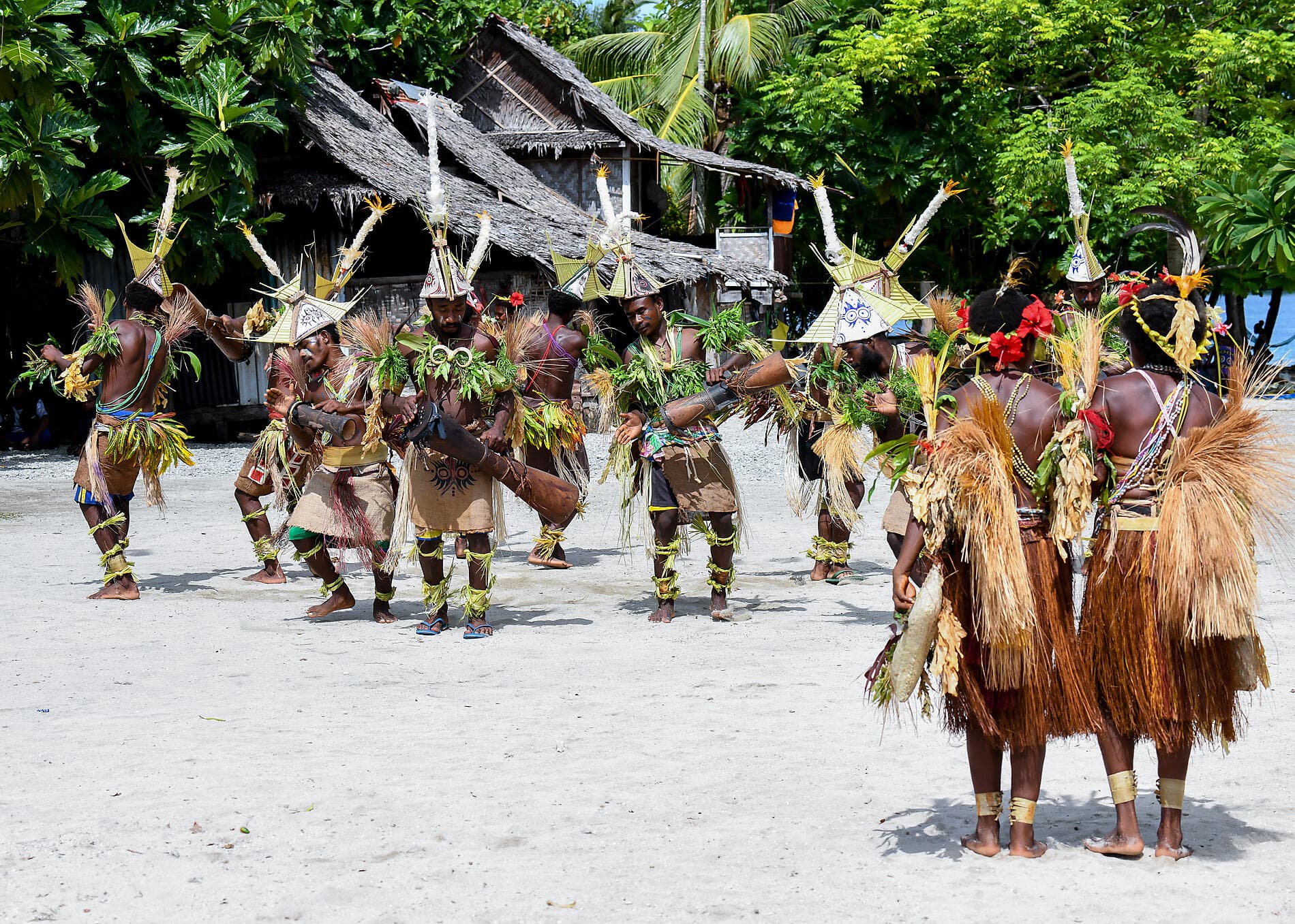 Odyssée en Nouvelle-Guinée 