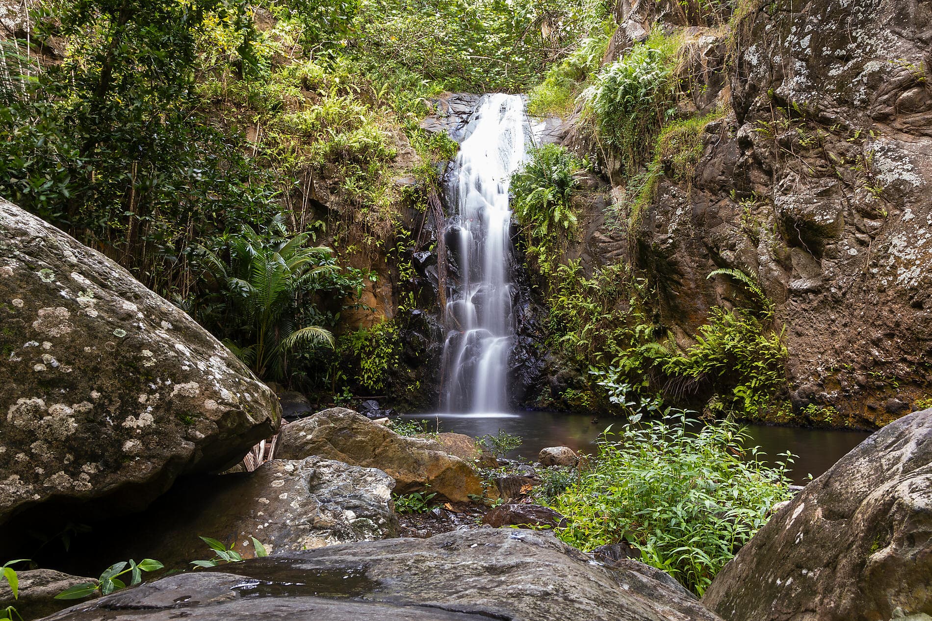 Douceur polynésienne : Marquises, Tuamotu et îles de la Société 
